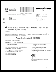Help! I Just Received an IRS Notice of Intent to Levy (CP504)