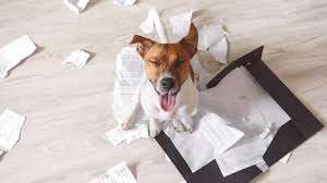 Lost Your W-2 From 5 Years Ago? Here’s How to Still File Your Taxes
