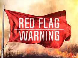 Red Flags in Tax Returns That Lead to Audits